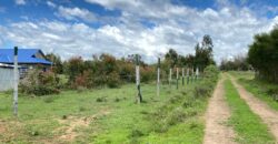Prime 50×100 Plots for Sale in Chaka, Nyeri with Stunning Mt. Kenya Views