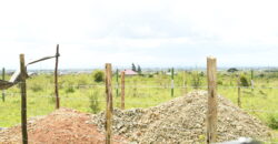 Plots for Sale Along Kangundo Road, MALAA