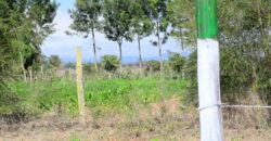 Prime 50×100 Plots for Sale in Chaka, Nyeri with Stunning Mt. Kenya Views