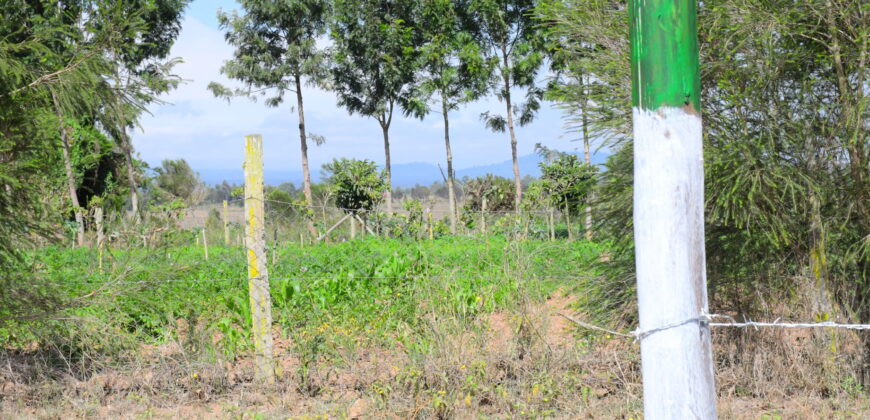 Prime 50×100 Plots for Sale in Chaka, Nyeri with Stunning Mt. Kenya Views