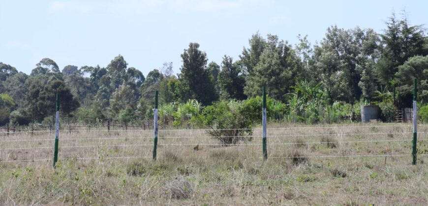 Prime 50×100 Plots for Sale in Chaka, Nyeri with Stunning Mt. Kenya Views
