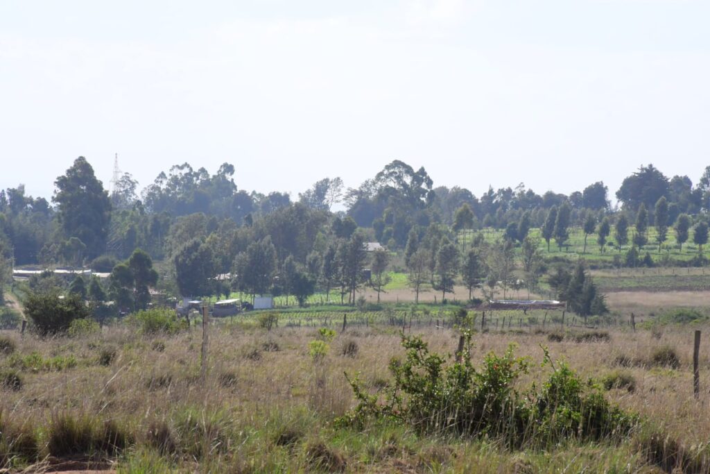 img 20220522 wa0019
