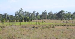Prime 50×100 Plots for Sale in Chaka, Nyeri with Stunning Mt. Kenya Views