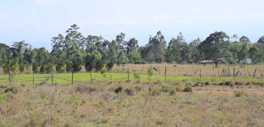 Prime 50×100 Plots for Sale in Chaka, Nyeri with Stunning Mt. Kenya Views