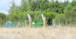 Prime 50×100 Plots for Sale in Chaka, Nyeri with Stunning Mt. Kenya Views