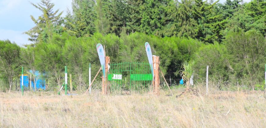Prime 50×100 Plots for Sale in Chaka, Nyeri with Stunning Mt. Kenya Views