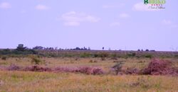 Plots For Sale in Mai Mahiu